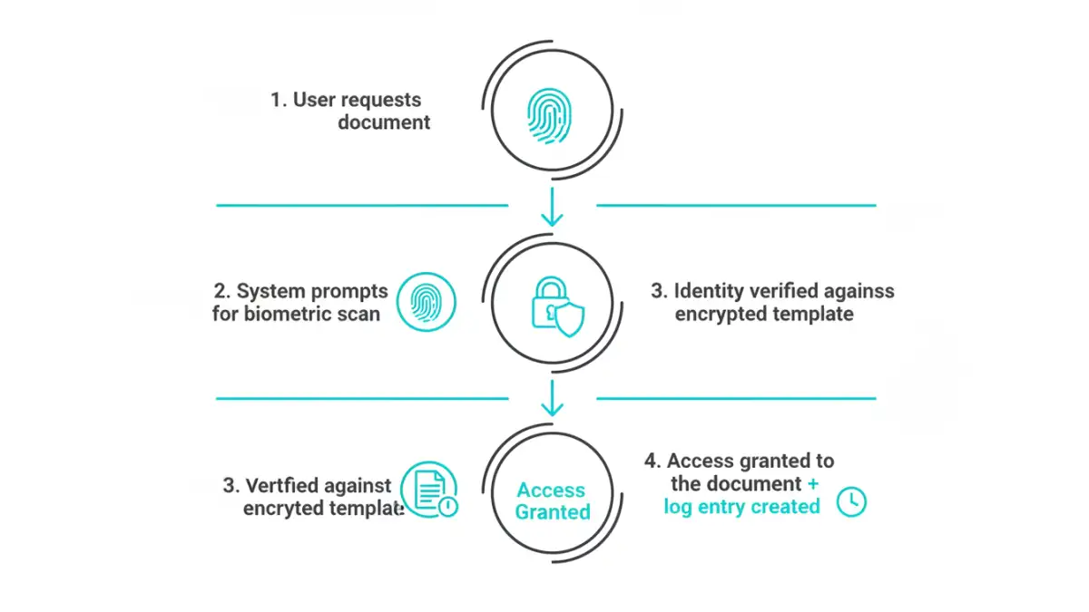biometric document compliance - Infographic flowchart explaining the process of biometric authentication for document access.