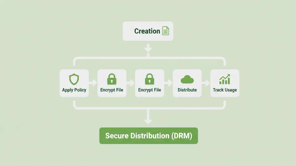 enterprise document drm - Infographic showing the process of secure content distribution with DRM