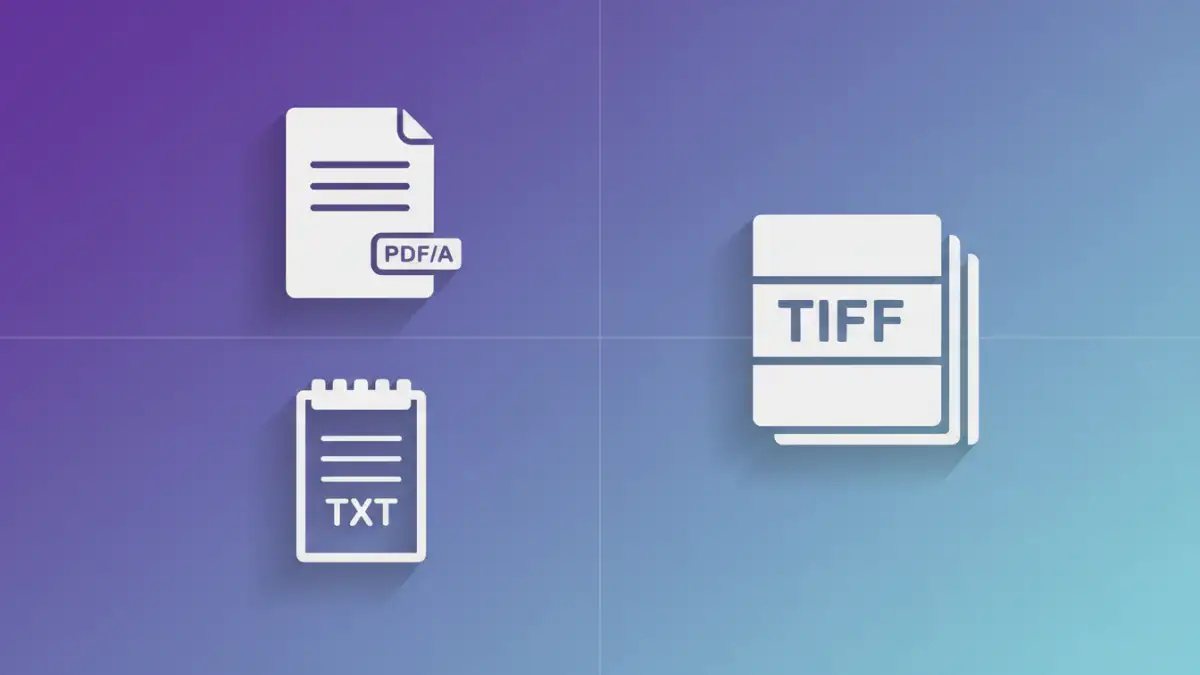 optimize document archival - Comparison of archival file formats: PDF/A, TXT, TIFF